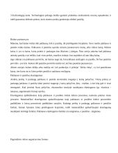 Ekonomikos teorijos metodai 19 puslapis