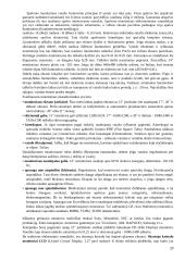 Ekonominės Informatikos egzaminų klausimai 20 puslapis