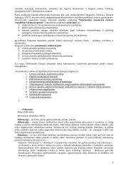 Ekonominės Informatikos egzaminų klausimai 5 puslapis