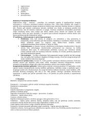 Ekonominės Informatikos egzaminų klausimai 10 puslapis