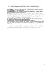 Ekonominės sociologijos teorija 2 puslapis