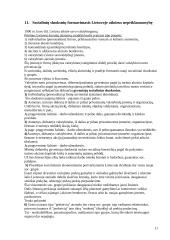 Ekonominės sociologijos teorija 11 puslapis