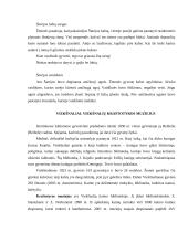 Ekskursija po Telšių rajoną 20 puslapis