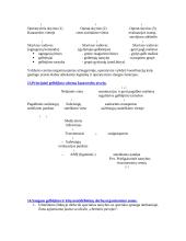 Ekstremalinė medicina 17 puslapis