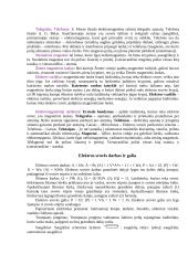 Elektromagnetinė indukcija ir elektromagnetizmas 2 puslapis