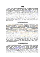 Elektromagnetinė indukcija ir elektromagnetizmas 3 puslapis