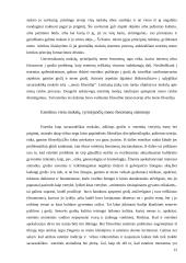 Estetikos objektas, jos struktūra ir uždaviniai 12 puslapis