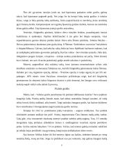 Estetinės kategorijos 8 puslapis