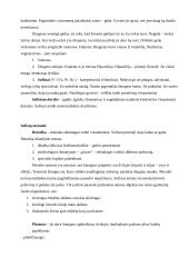 Etikos pagrindų teorija 2 puslapis