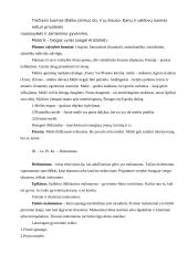 Etikos pagrindų teorija 4 puslapis