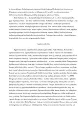 Etikos pagrindų teorija 9 puslapis