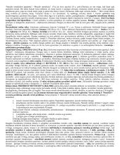 Etika ir moralė 2 puslapis