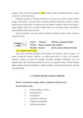 Etikos objektas. Moralė. Moralės sąvokos ir funkcijos 2 puslapis