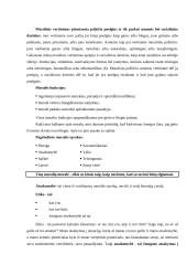 Etikos objektas. Moralė. Moralės sąvokos ir funkcijos 3 puslapis