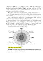 Etikos objektas. Moralė. Moralės sąvokos ir funkcijos 7 puslapis