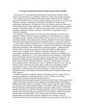 Europos Bendrijos (EB) konkurencinė politika 2 puslapis