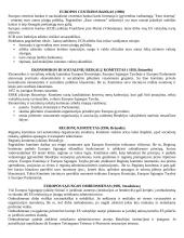 Europos Sąjunga (ES) - pagrindinės organizacijos 3 puslapis