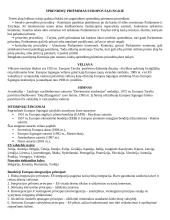 Europos Sąjunga (ES) - pagrindinės organizacijos 4 puslapis