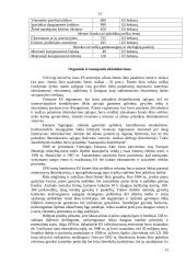 Europos Sąjungos žemės ūkio politika (BŽŪP) 13 puslapis