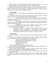 Europos Sąjungos (ES) ekonomika 13 puslapis