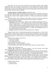 Europos sąjungos teisinė sistema 4 puslapis