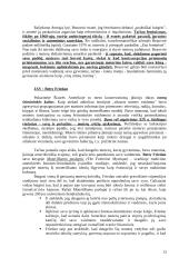 Feministiniai judėjimai 13 puslapis