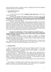 Feministiniai judėjimai 7 puslapis