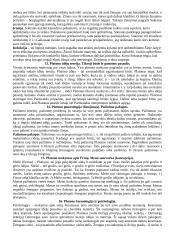 Detali teorija - filosofija 3 puslapis