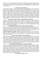 Detali teorija - filosofija 4 puslapis