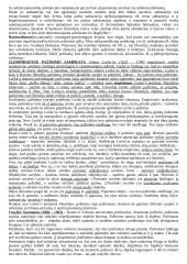 Viskas, ką reikia žinoti apie filosofiją 15 puslapis