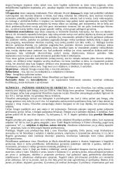 Viskas, ką reikia žinoti apie filosofiją 19 puslapis