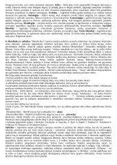 Viskas, ką reikia žinoti apie filosofiją 3 puslapis