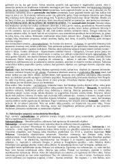 Viskas, ką reikia žinoti apie filosofiją 7 puslapis