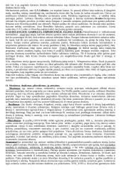 Viskas, ką reikia žinoti apie filosofiją 9 puslapis