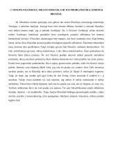 Filosofijos egzamino teorija 10 puslapis