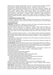 Filosofijos klausimai 3 puslapis