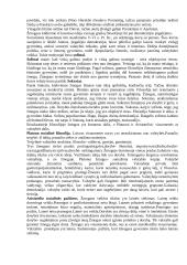 Filosofijos klausimai 8 puslapis