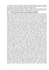 Filosofijos klausimai 9 puslapis