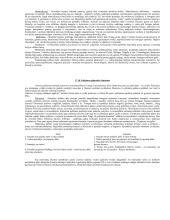 Filosofija - įvado teorija 11 puslapis