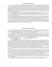 Filosofija - įvado teorija 13 puslapis