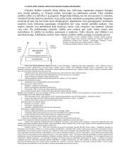 Filosofija - įvado teorija 5 puslapis