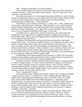 Būties teorijos tarpsmas ir raida senovės Graikijoje iki Platono 16 puslapis