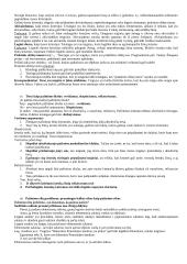 Filosofijos kontrolinio darbo klausimai 10 puslapis