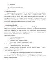 Filosofinės būsenos 2 puslapis