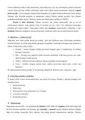 Filosofinės būsenos 4 puslapis