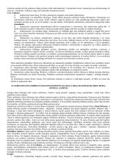 Filosofinis mąstymas 3 puslapis