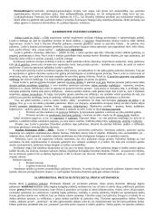 Filosofinis mąstymas 6 puslapis