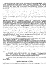 Filosofinis mąstymas 7 puslapis