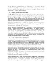 Pradmenys - filosofija 12 puslapis