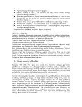 Pradmenys - filosofija 5 puslapis